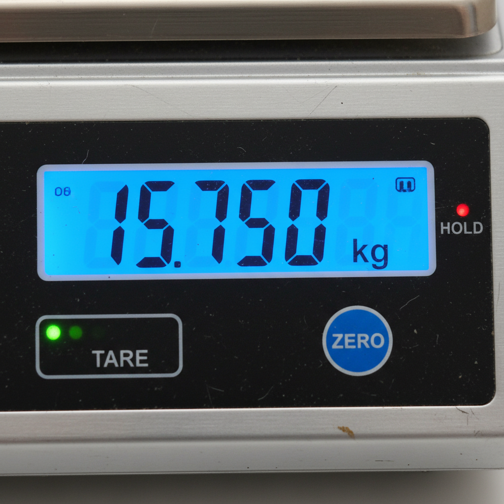 Weighing Platform Scale (500 kg) - Detail