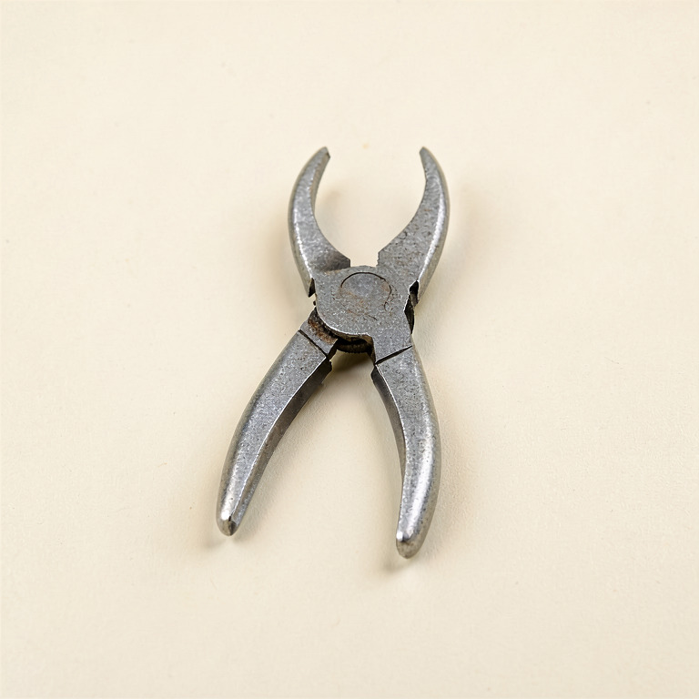 Reusable Pruning Snip