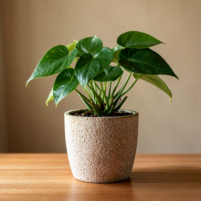 Pothos in Textured Desk Pot