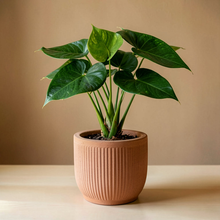Syngonium in Ribbed Clay Planter
