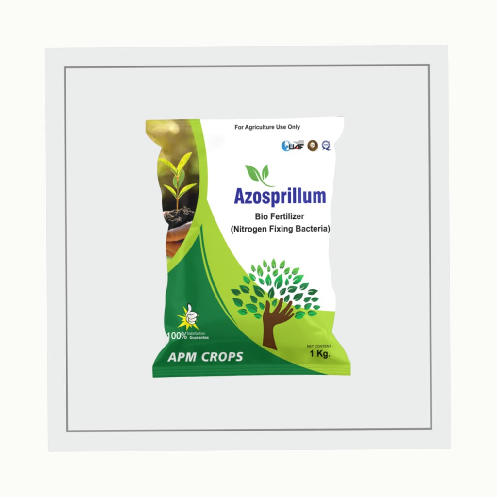 Azospirillum Culture - View 3