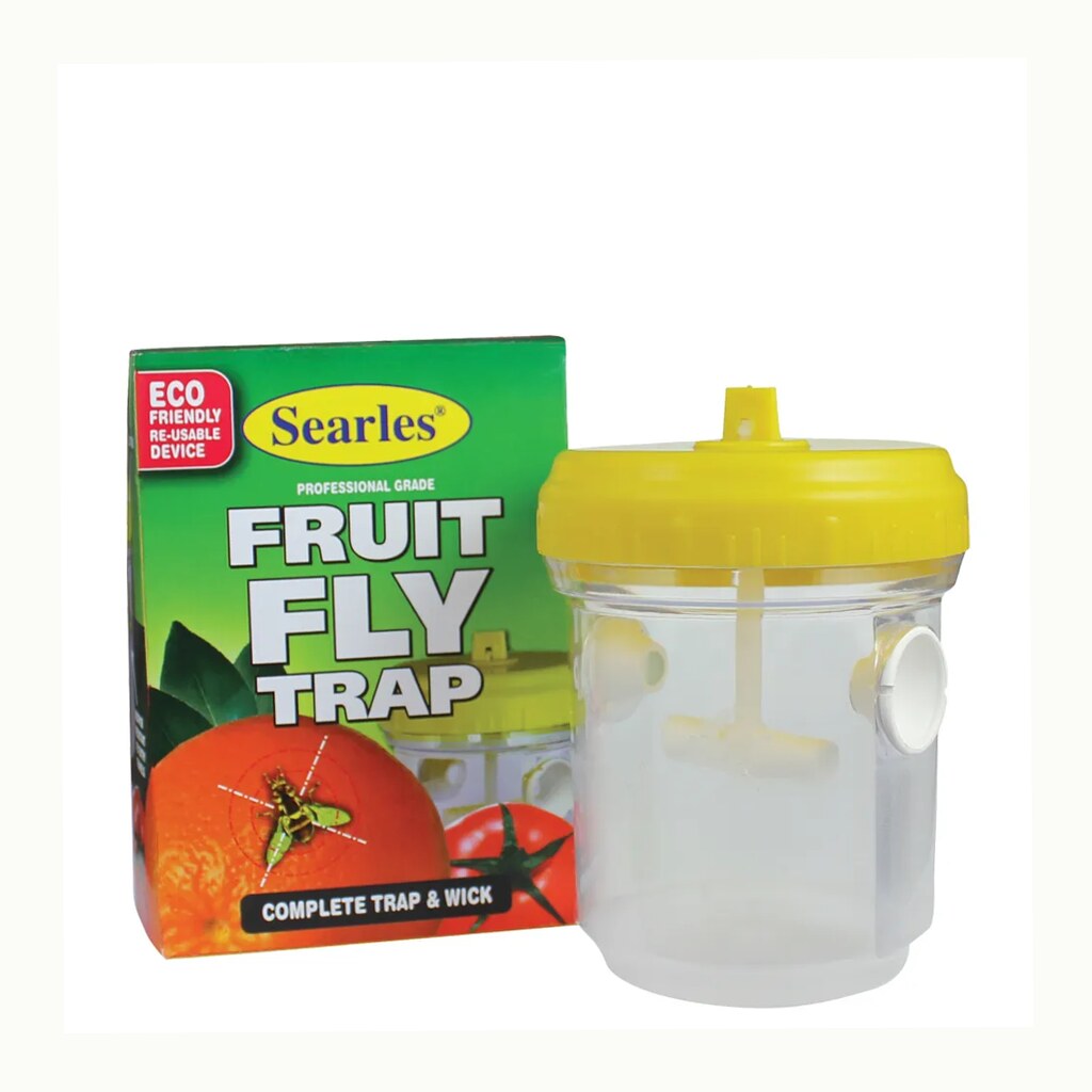 Fruit Fly Trap Kit