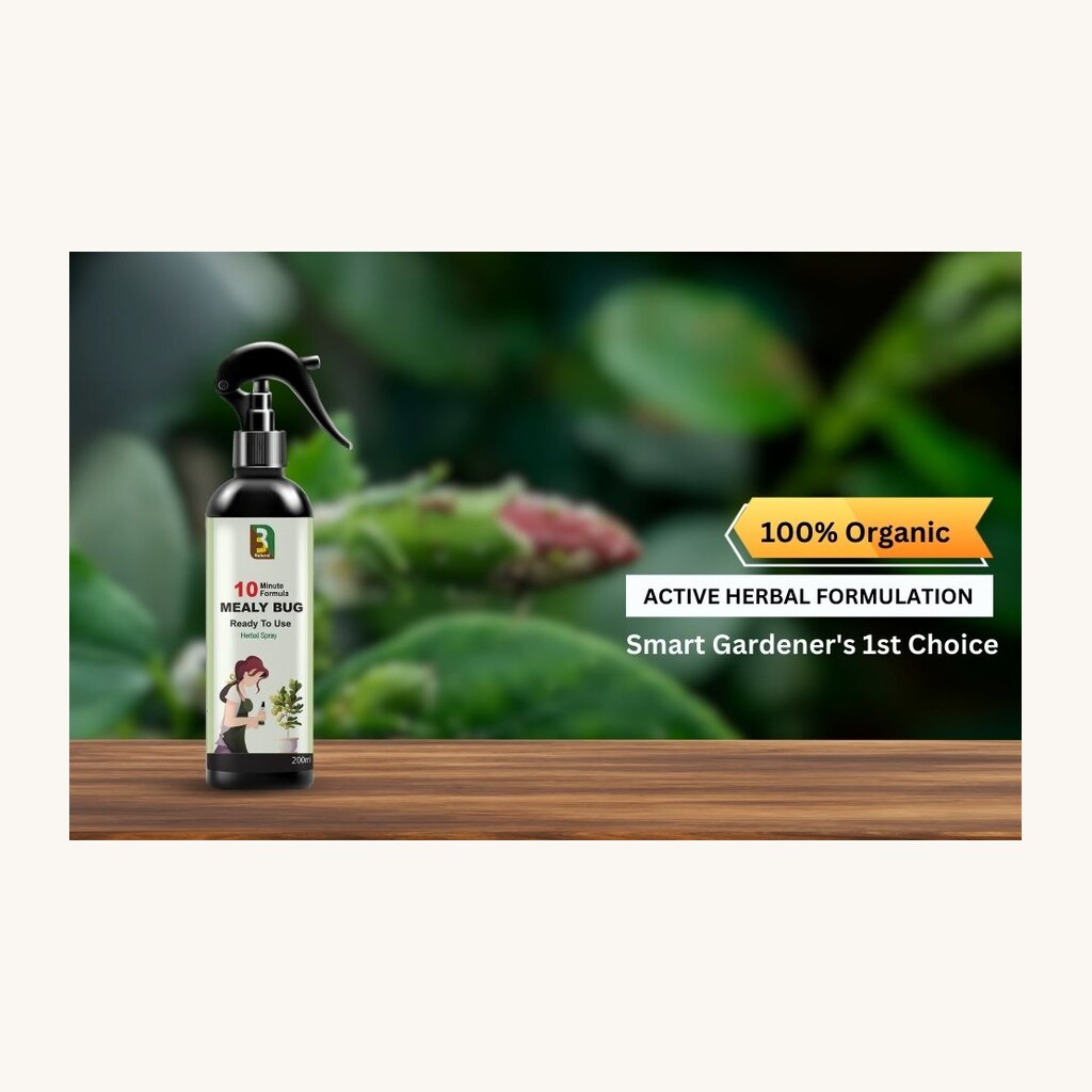 Mealybug Control Herbal Spray - View 2