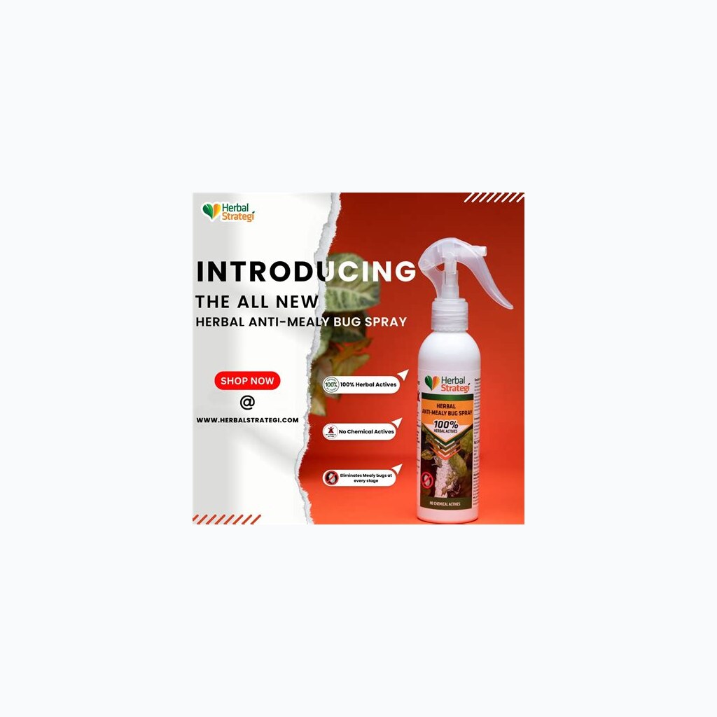 Mealybug Control Herbal Spray - View 3