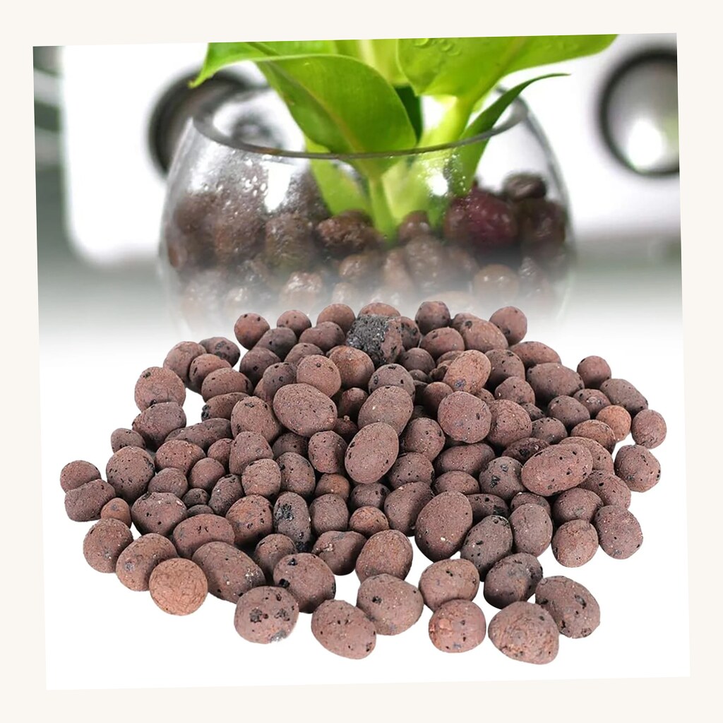 Clay Pebbles Growing Media