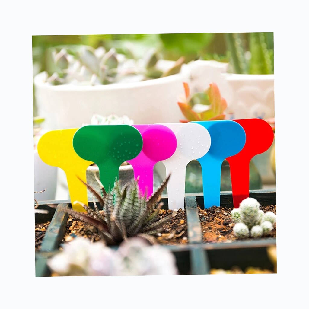 Plant Nursery Tags