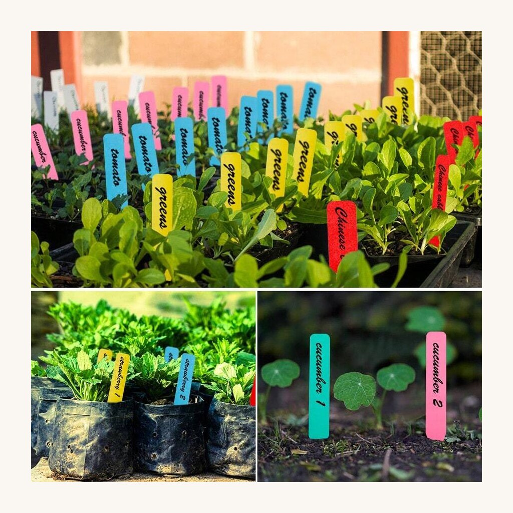 Plant Nursery Tags - View 2