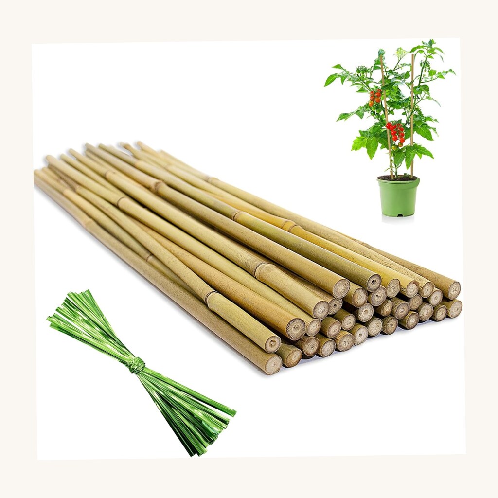 Bamboo Plant Stakes - View 2