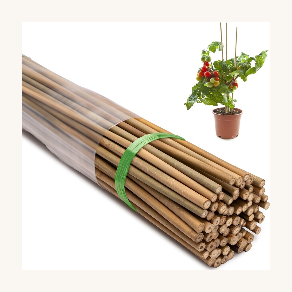 Bamboo Plant Stakes - View 3