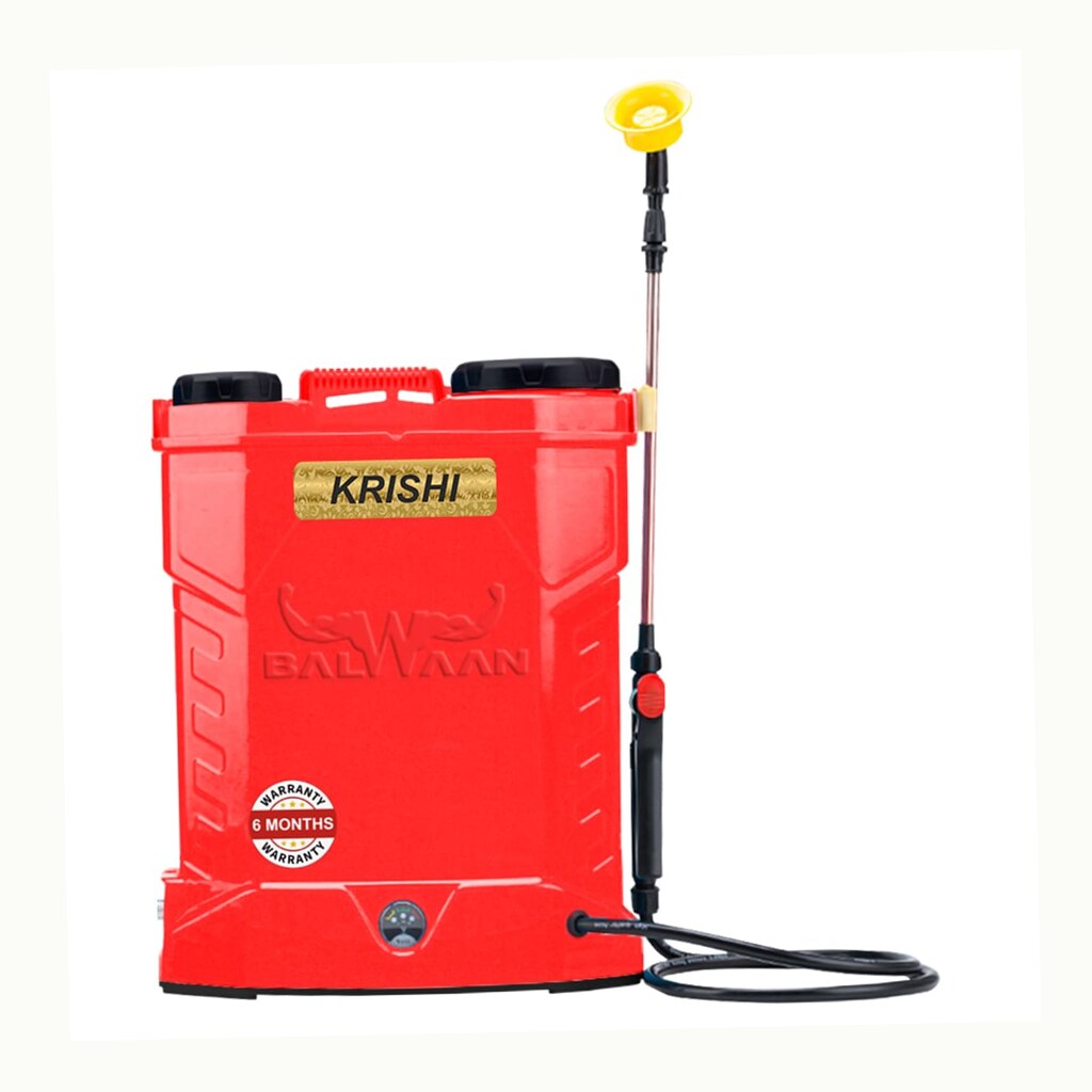 Battery Sprayer Pump Motor