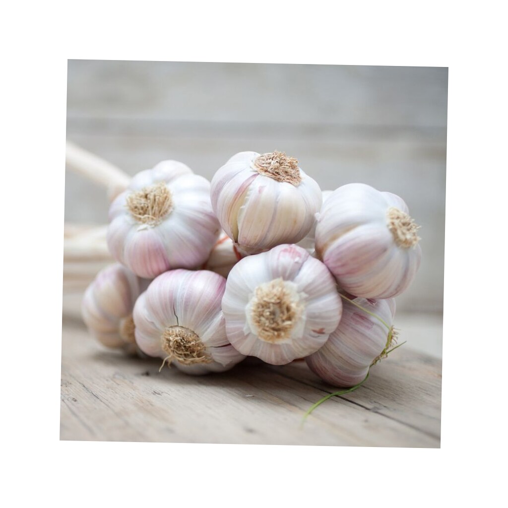 Fresh Garlic 1kg