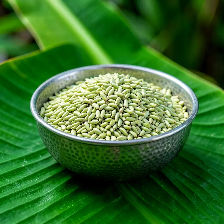Farm Fennel Seeds 500g