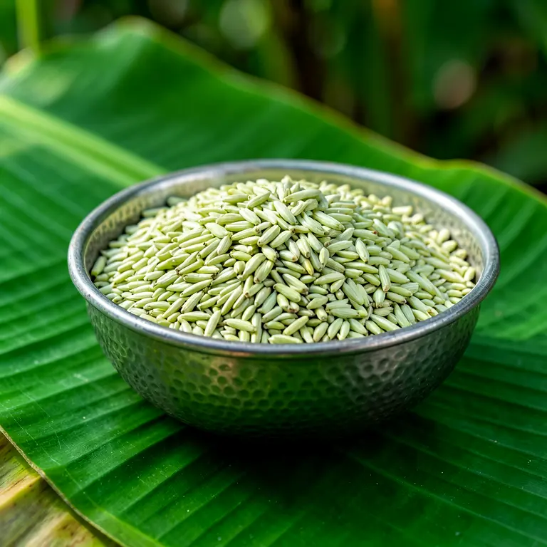 Polished Fennel Seeds 500g